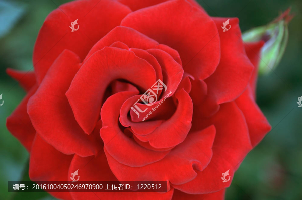 001整體上漲