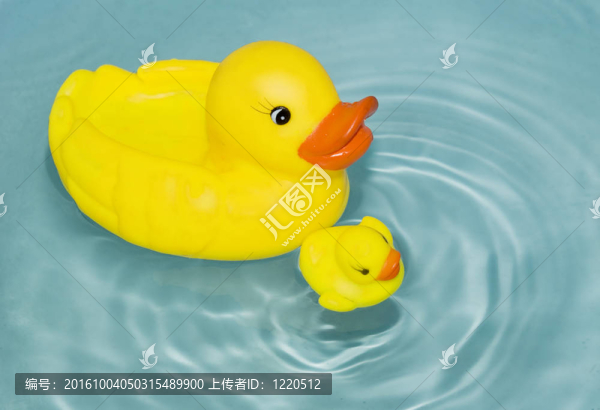 鴨子的家庭