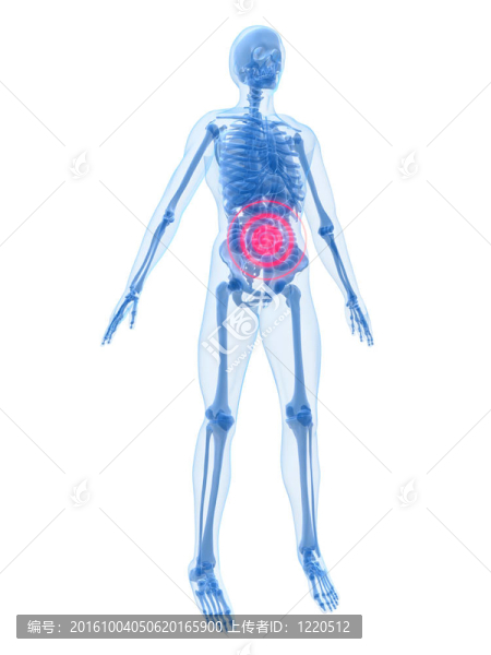 突出的腸子