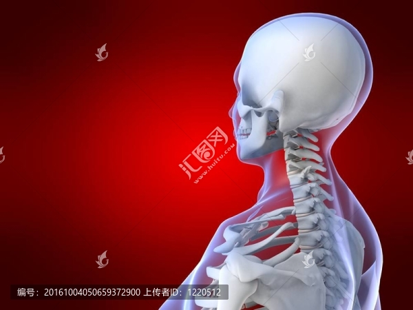 女的脖子