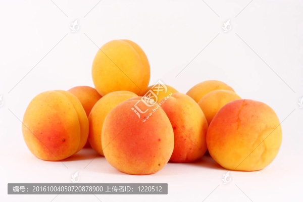 新鮮成熟的杏子