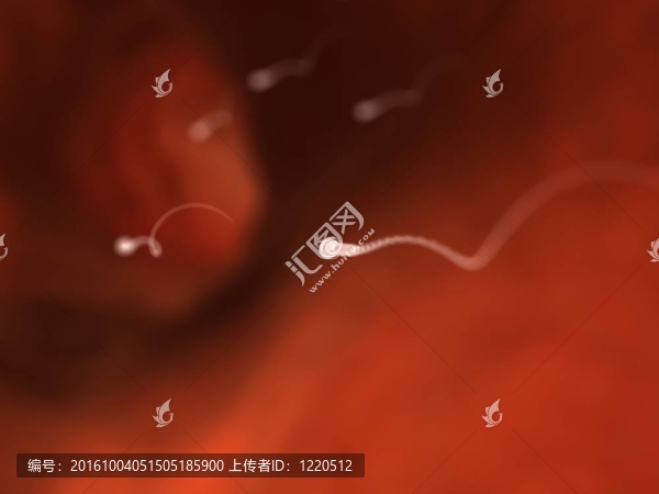 人類精子