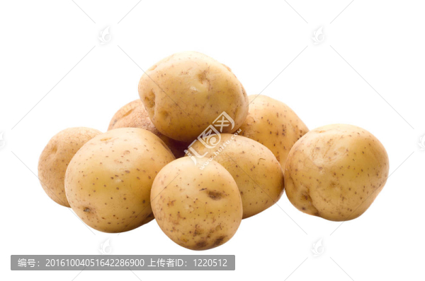 生土豆