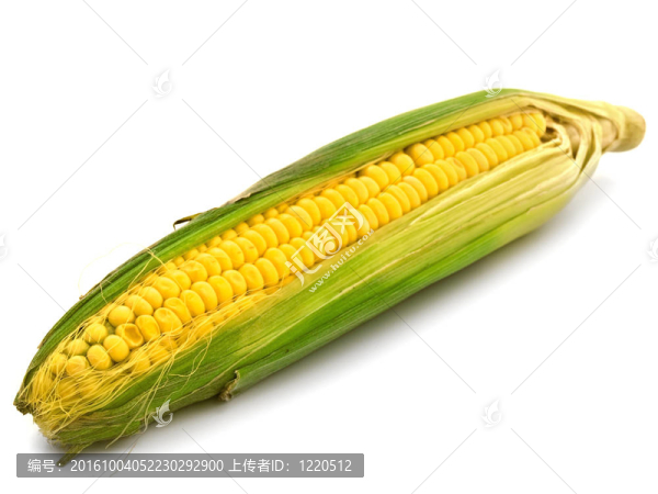 earcorn