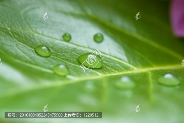 水滴