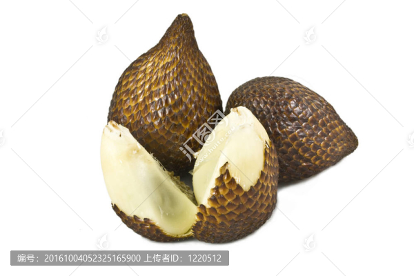 蛇的果實