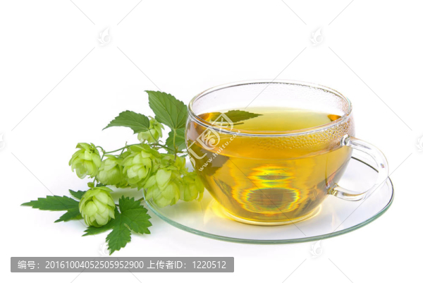 茶跳02