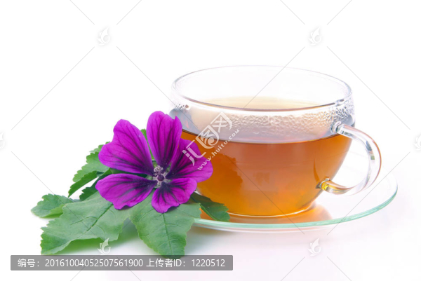 茶錦葵05