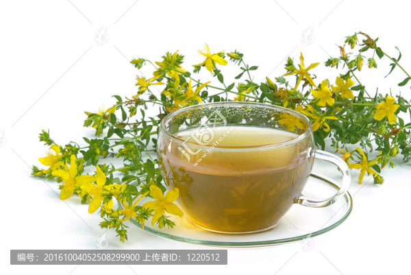 茶圣約翰草03