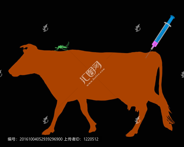 奶牛對(duì)蚊子叮咬的疾病進(jìn)行免疫