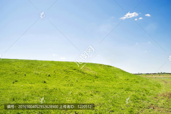 春天的風(fēng)景