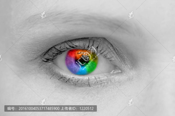 女人的眼睛