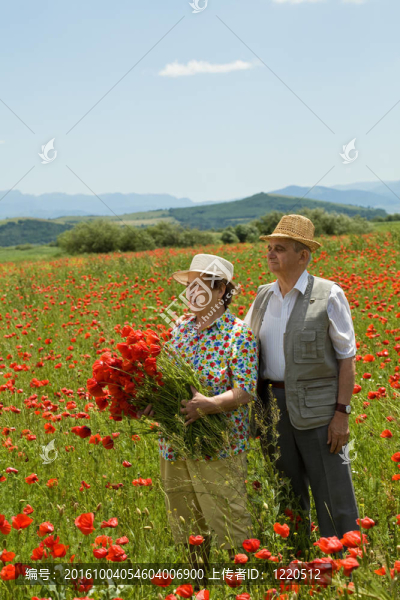 快樂的老夫婦采摘鮮花