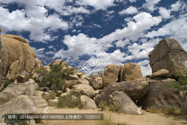 巨石Joshua,Tree