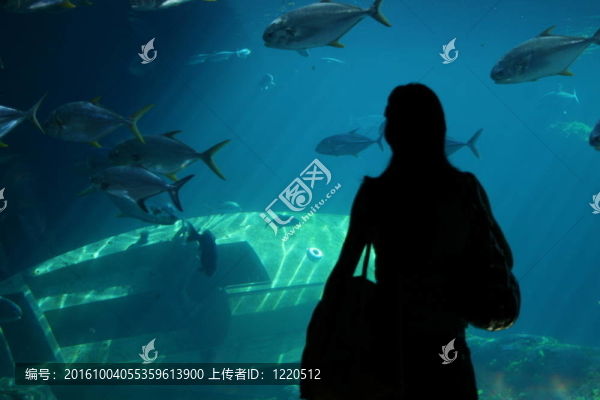 水族館