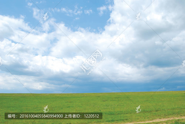 草地