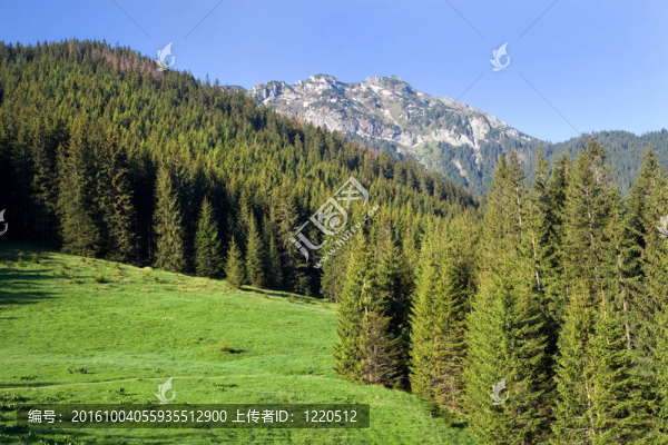 塔特拉山的風(fēng)景