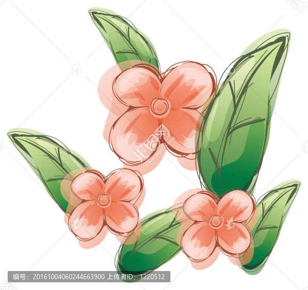 紅花水彩畫