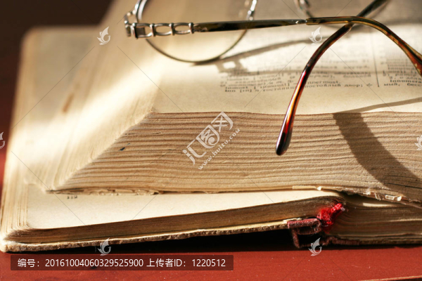 頁的老書
