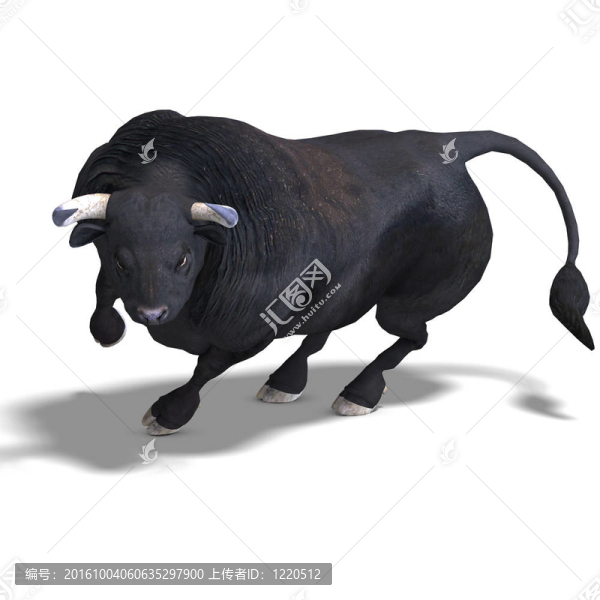黑色的公牛準(zhǔn)備戰(zhàn)斗