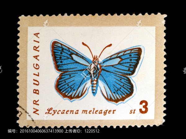 Lycaena,meleager郵票