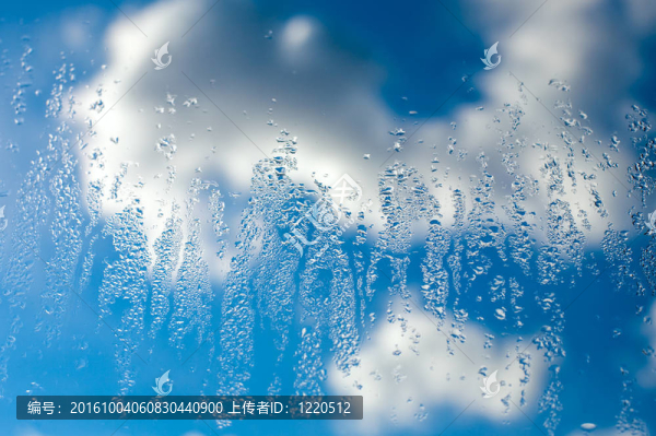 在雨中