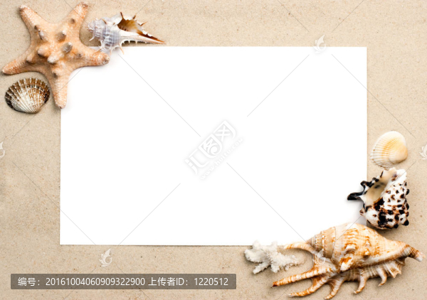 砂框上的貝殼