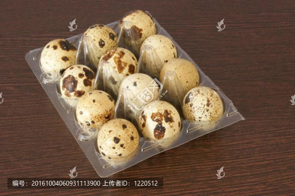十二個(gè)有機(jī)鵪鶉蛋在塑料容器