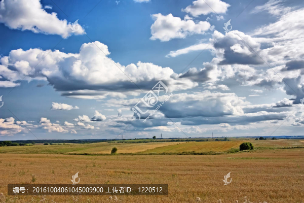 夏天的風(fēng)景