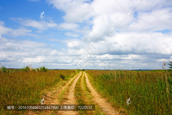 夏天的風景