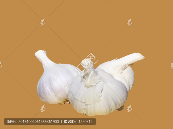 蒜頭