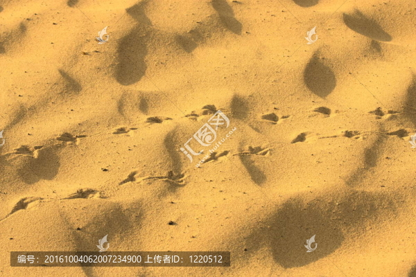 美沙大為背景