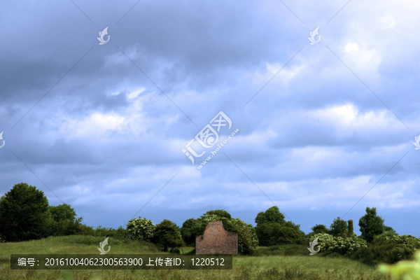 綠色的田野