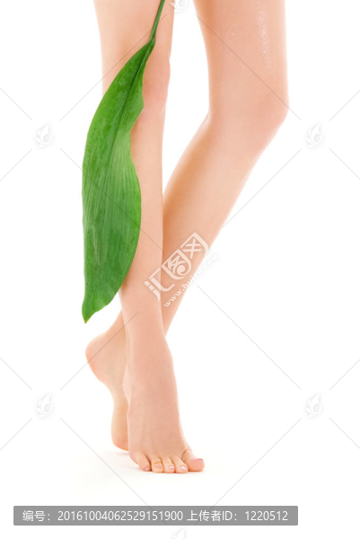綠葉女腿