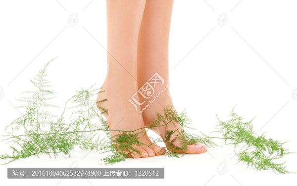 女腿與綠色植物
