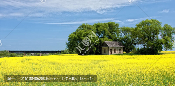 在大草原上的小房子