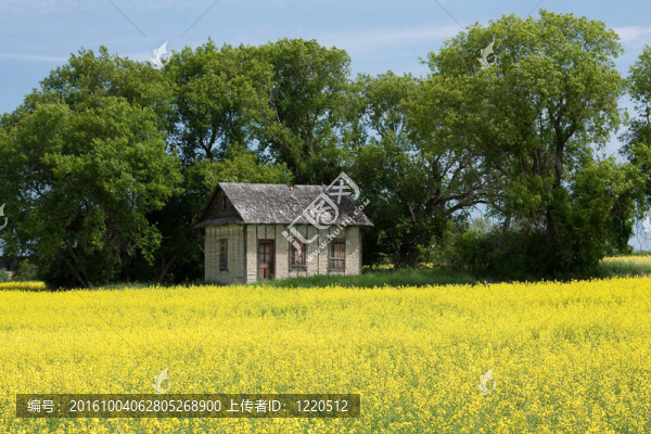 在大草原上的小房子