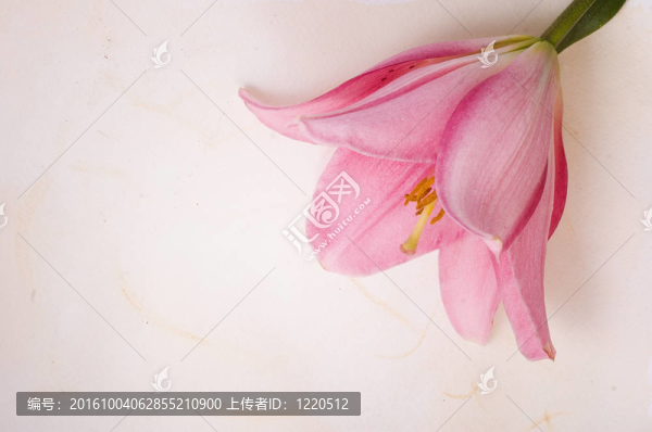 賀卡