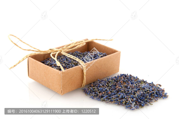薰衣草