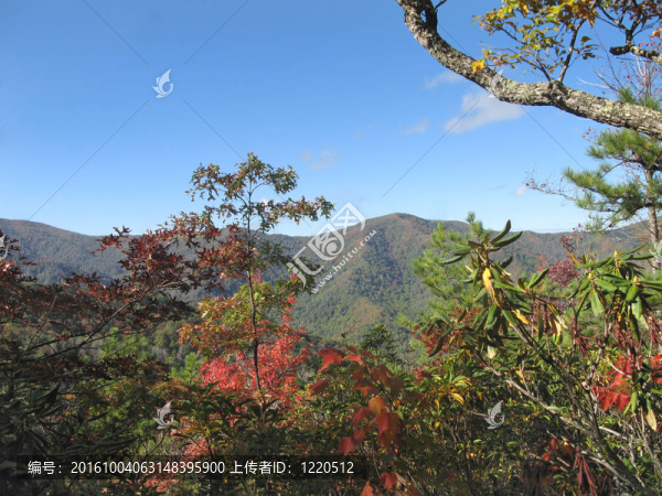 秋天的大煙山