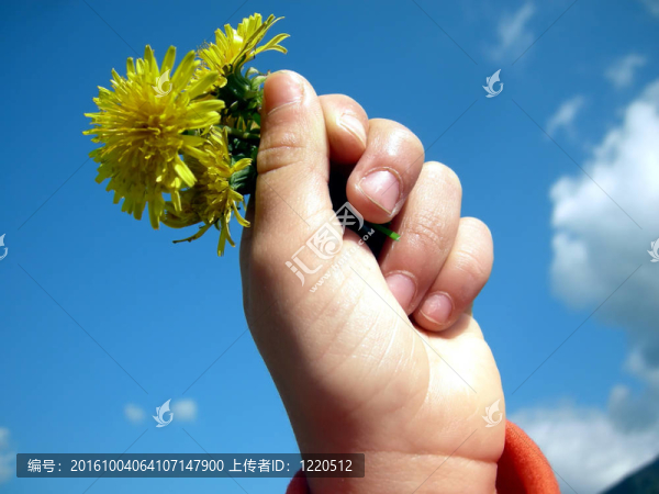 手拿著一朵花