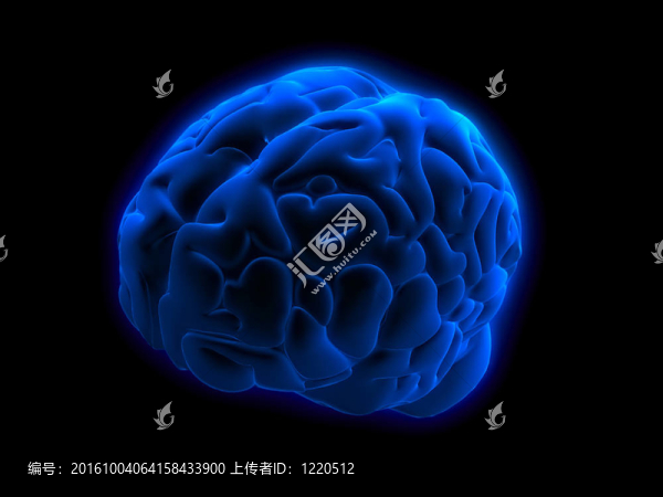 人類的大腦