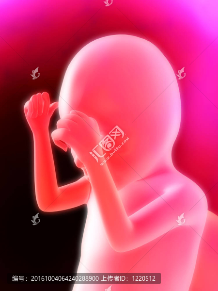 人胎兒