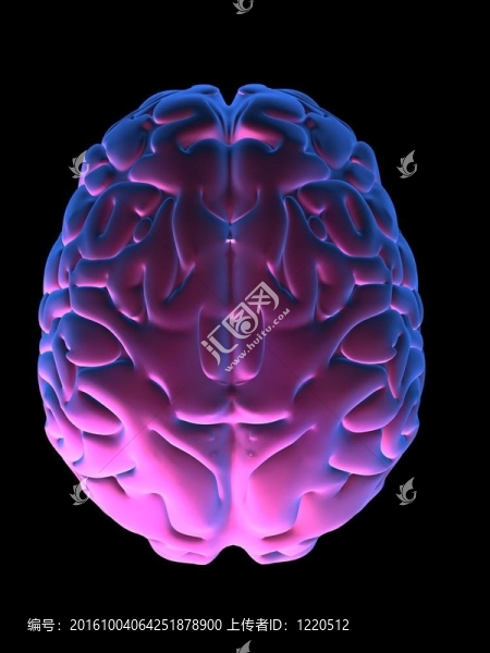 人類的大腦