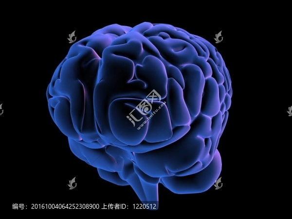 人類的大腦