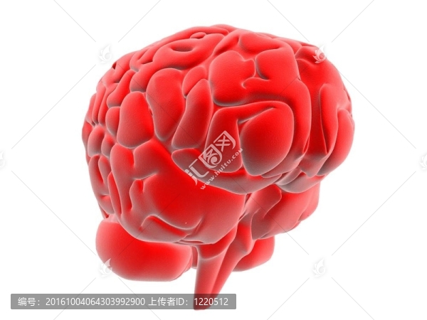 人類的大腦
