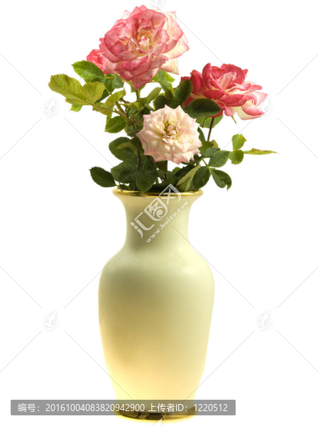 花瓶里的花