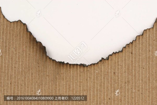 紙