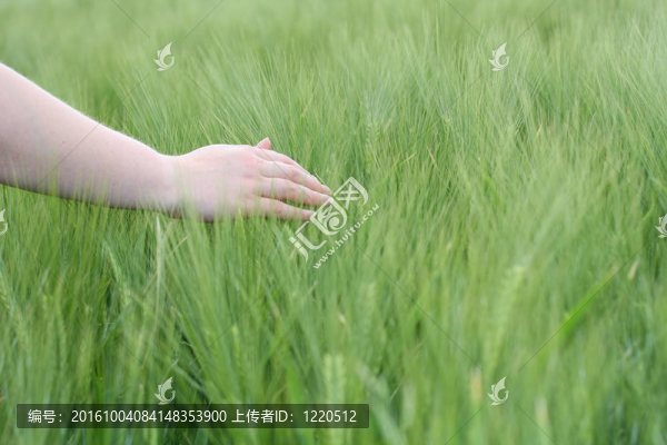 極樂世界