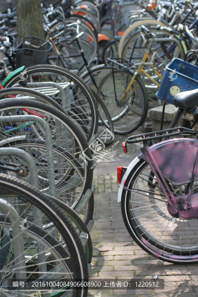 在阿姆斯特丹bicykle